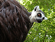 Wildlife Park