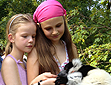 Affenwald Kids